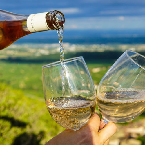 From Vine to Wine: Sommelier Secrets