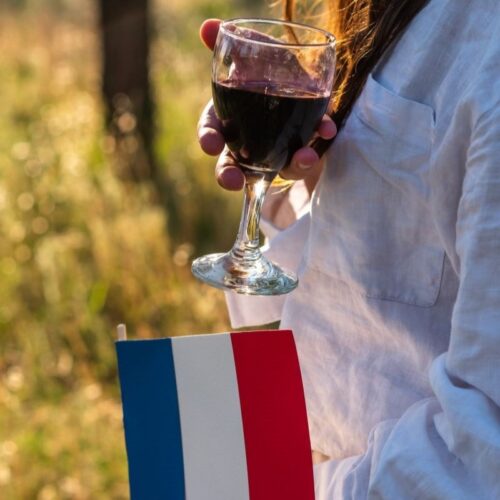 From Vine to Wine: Classic Wines of France