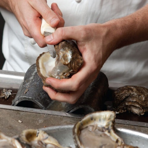 In the Kitchen: New England Shellfish